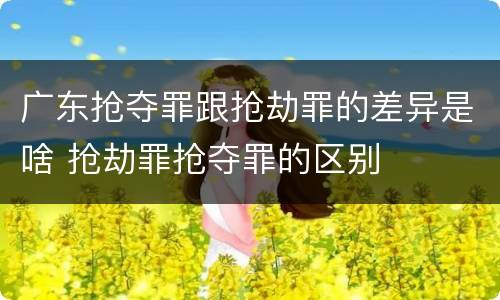 广东抢夺罪跟抢劫罪的差异是啥 抢劫罪抢夺罪的区别