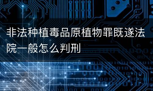 非法种植毒品原植物罪既遂法院一般怎么判刑