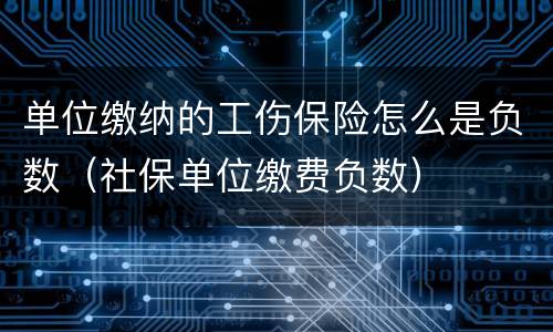 单位缴纳的工伤保险怎么是负数（社保单位缴费负数）