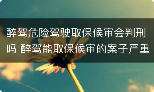 醉驾危险驾驶取保候审会判刑吗 醉驾能取保候审的案子严重吗