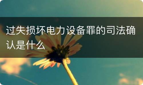过失损坏电力设备罪的司法确认是什么