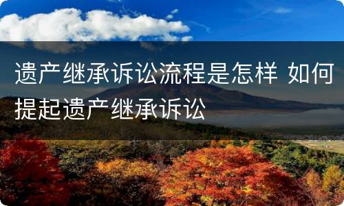 遗产继承诉讼流程是怎样 如何提起遗产继承诉讼