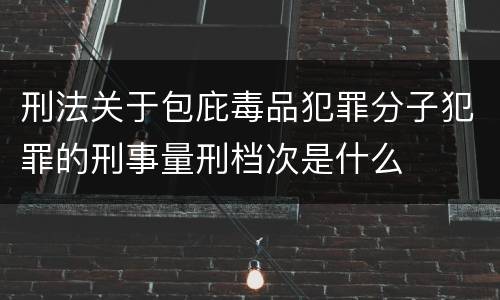 刑法关于包庇毒品犯罪分子犯罪的刑事量刑档次是什么