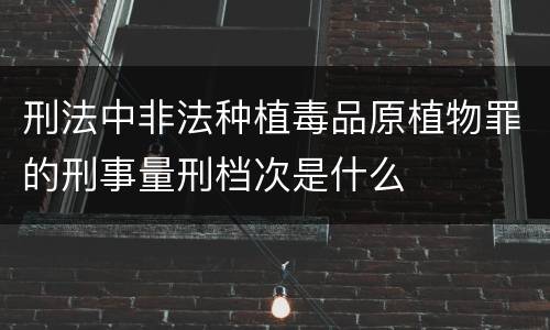 刑法中非法种植毒品原植物罪的刑事量刑档次是什么