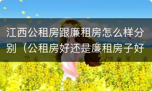 江西公租房跟廉租房怎么样分别（公租房好还是廉租房子好）