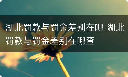 湖北罚款与罚金差别在哪 湖北罚款与罚金差别在哪查