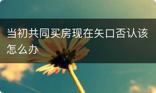 当初共同买房现在矢口否认该怎么办