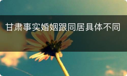 甘肃事实婚姻跟同居具体不同