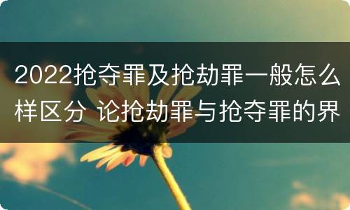 2022抢夺罪及抢劫罪一般怎么样区分 论抢劫罪与抢夺罪的界限