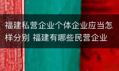 福建私营企业个体企业应当怎样分别 福建有哪些民营企业