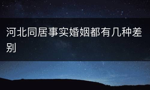 河北同居事实婚姻都有几种差别