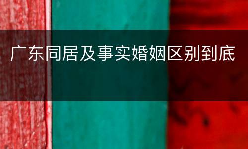 广东同居及事实婚姻区别到底