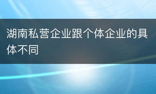 湖南私营企业跟个体企业的具体不同