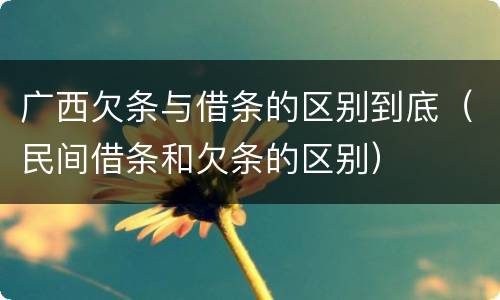广西欠条与借条的区别到底（民间借条和欠条的区别）