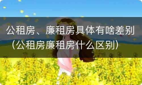 公租房、廉租房具体有啥差别（公租房廉租房什么区别）