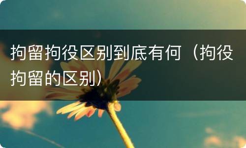 拘留拘役区别到底有何（拘役拘留的区别）