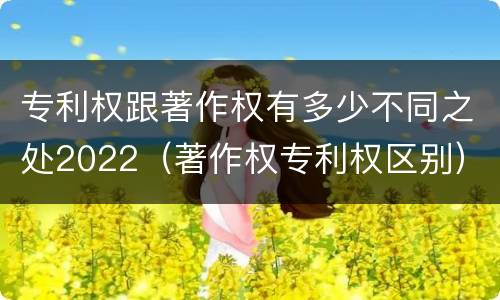 专利权跟著作权有多少不同之处2022（著作权专利权区别）