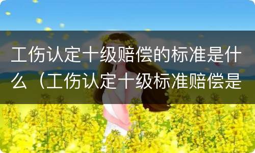 工伤认定十级赔偿的标准是什么（工伤认定十级标准赔偿是多少）