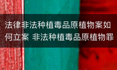 法律非法种植毒品原植物案如何立案 非法种植毒品原植物罪治安管理