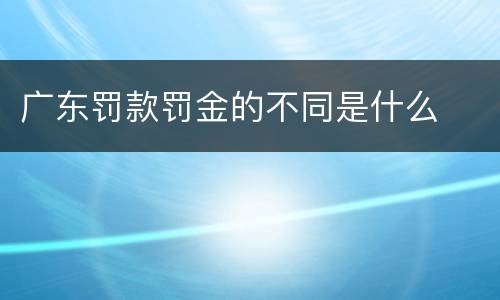 广东罚款罚金的不同是什么