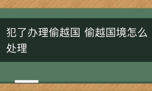 犯了办理偷越国 偷越国境怎么处理
