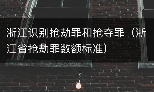 浙江识别抢劫罪和抢夺罪（浙江省抢劫罪数额标准）