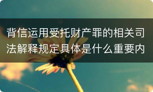 背信运用受托财产罪的相关司法解释规定具体是什么重要内容