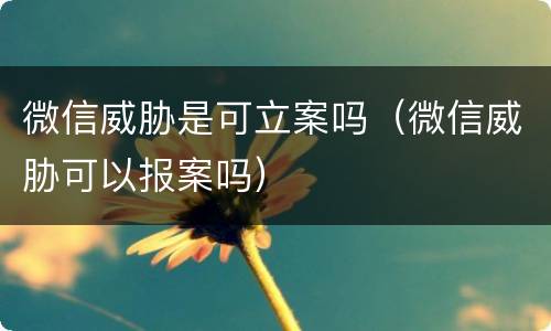 微信威胁是可立案吗（微信威胁可以报案吗）
