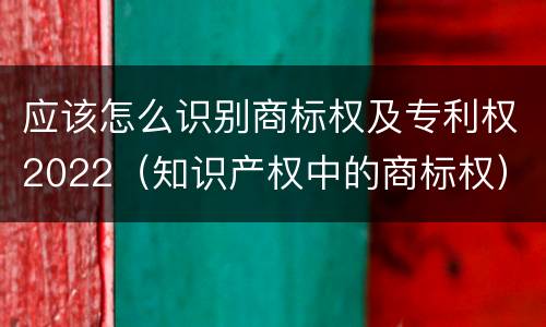 应该怎么识别商标权及专利权2022（知识产权中的商标权）