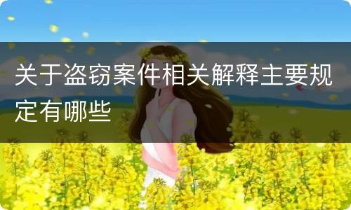 关于盗窃案件相关解释主要规定有哪些