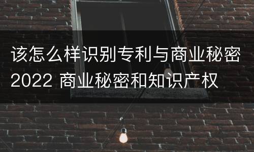 该怎么样识别专利与商业秘密2022 商业秘密和知识产权