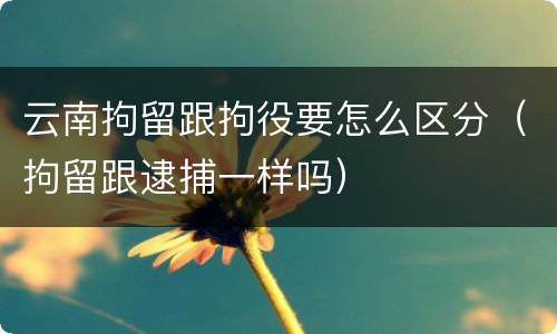 云南拘留跟拘役要怎么区分（拘留跟逮捕一样吗）