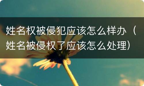 姓名权被侵犯应该怎么样办（姓名被侵权了应该怎么处理）