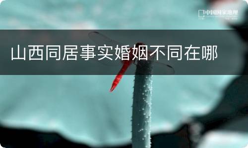 山西同居事实婚姻不同在哪