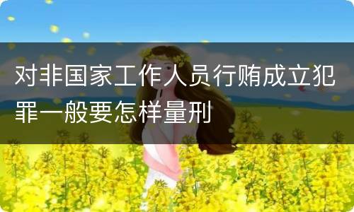 对非国家工作人员行贿成立犯罪一般要怎样量刑