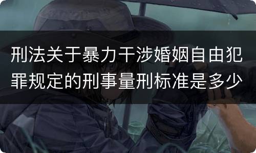刑法关于暴力干涉婚姻自由犯罪规定的刑事量刑标准是多少