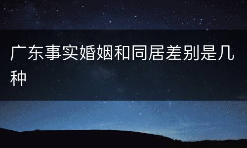 广东事实婚姻和同居差别是几种