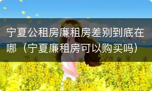 宁夏公租房廉租房差别到底在哪（宁夏廉租房可以购买吗）