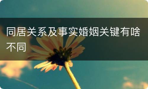 同居关系及事实婚姻关键有啥不同