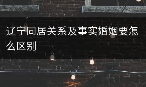 辽宁同居关系及事实婚姻要怎么区别