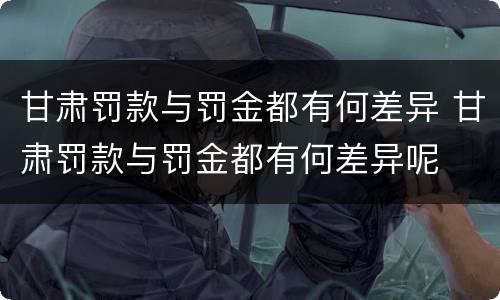甘肃罚款与罚金都有何差异 甘肃罚款与罚金都有何差异呢