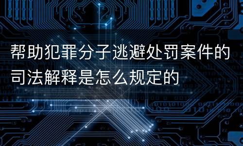 帮助犯罪分子逃避处罚案件的司法解释是怎么规定的
