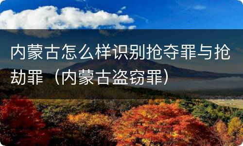 内蒙古怎么样识别抢夺罪与抢劫罪（内蒙古盗窃罪）