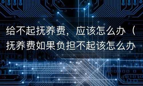 给不起抚养费，应该怎么办（抚养费如果负担不起该怎么办?）