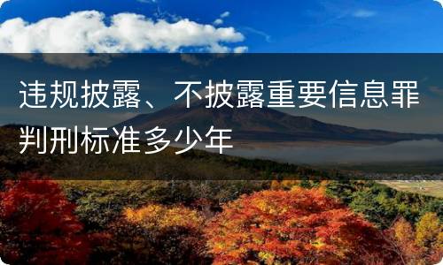 违规披露、不披露重要信息罪判刑标准多少年