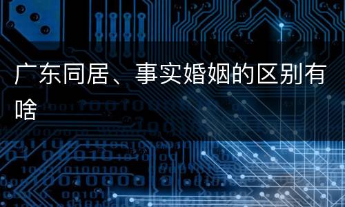 广东同居、事实婚姻的区别有啥