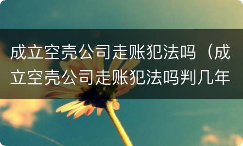 成立空壳公司走账犯法吗（成立空壳公司走账犯法吗判几年）
