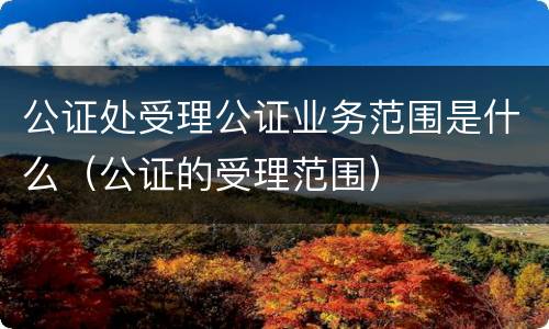公证处受理公证业务范围是什么（公证的受理范围）