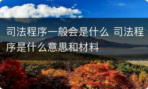 司法程序一般会是什么 司法程序是什么意思和材料