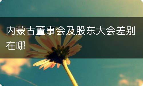 内蒙古董事会及股东大会差别在哪